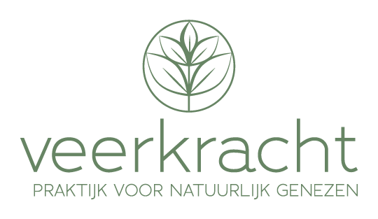 Praktijk veerkracht logo